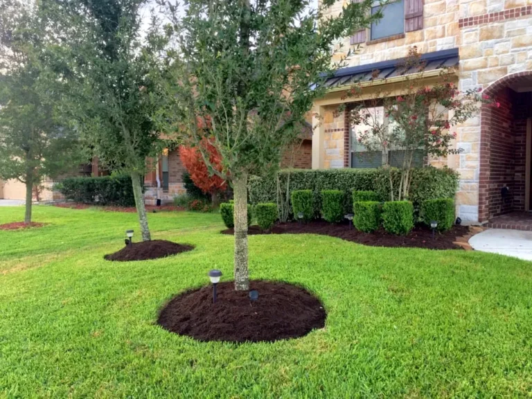 Residential home with freshly mulched trees and shrubs and a manicured lawn in Northwest Arkansas
