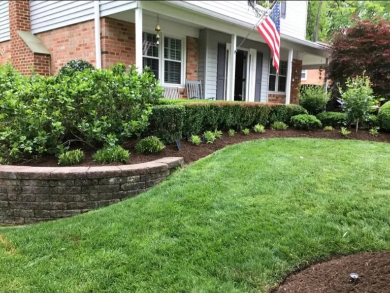 Sloped front yard of a home with landscaped bushes and plants.